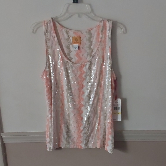 Ruby Rd. Tops - Ruby Rd. Dunemul Sequin Zig Zag Striped Dressy Tank Top Sz M